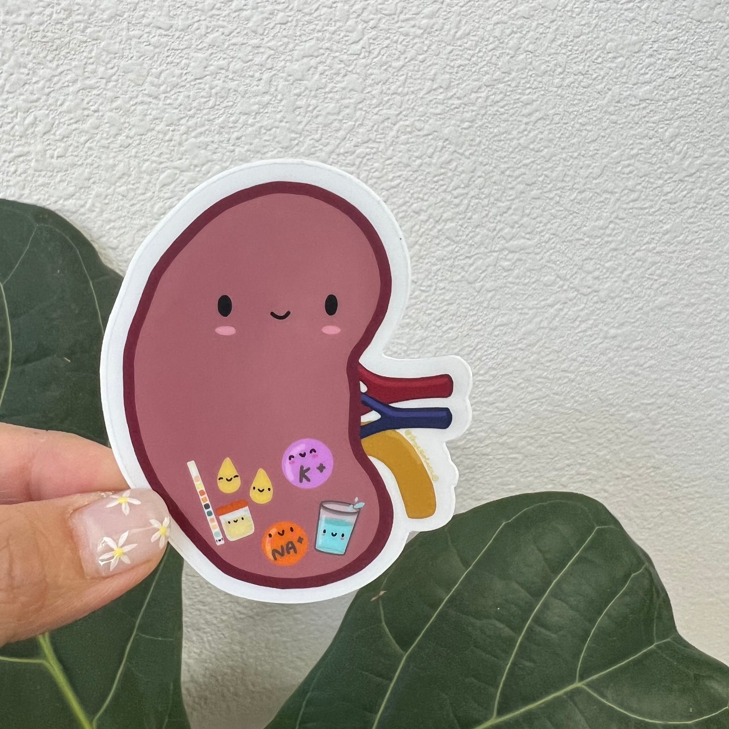 KIDNEY Sticker