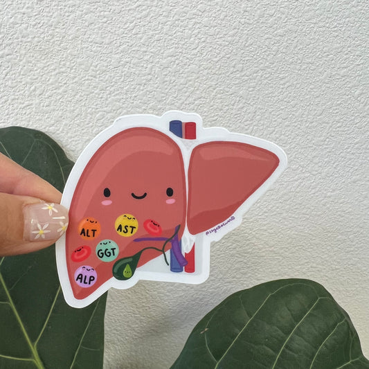 LIVER Sticker